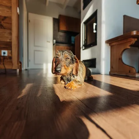 In For 6 Personen Holiday home