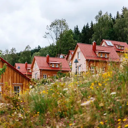Holiday home Ferienhaeuser Im Harzresort,