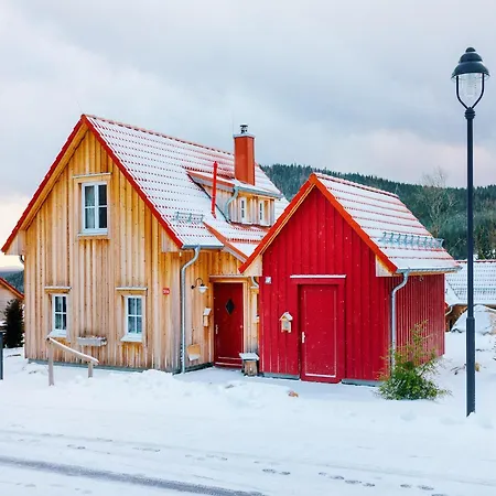 Holiday home Ferienhaeuser Im Harzresort, *