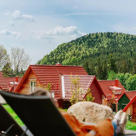 Ferienhaeuser Im Harzresort, *