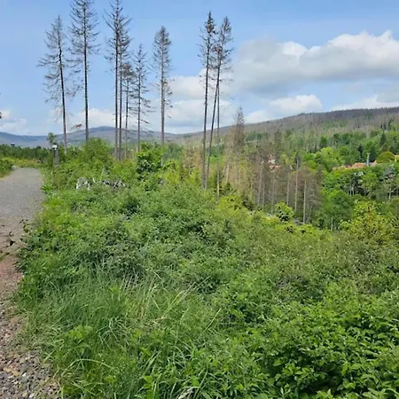 Holiday home In For 6 Personen Schierke