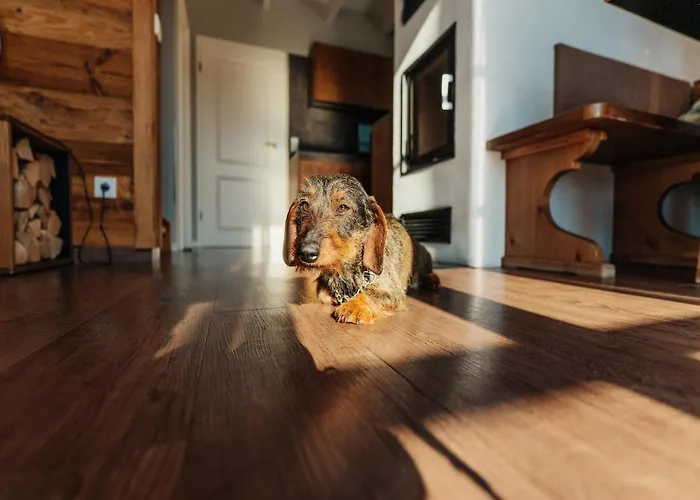 In For 6 Personen Ferienhaus