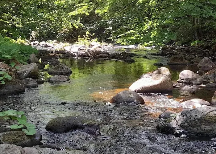 Ferienhaus In For 6 Personen Schierke