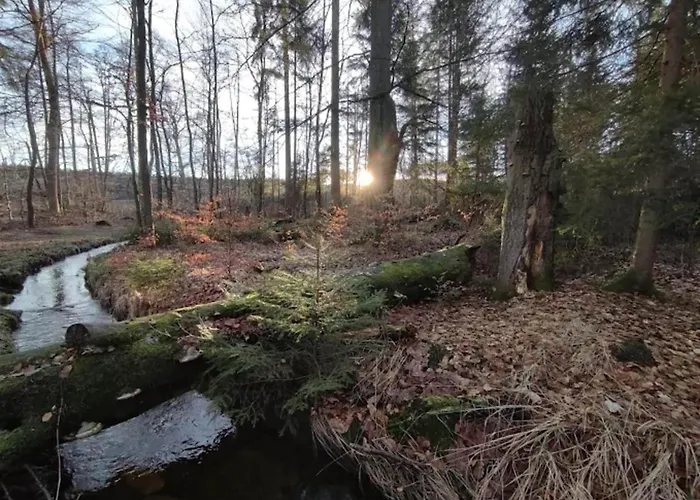 Ferienhaus In For 6 Personen