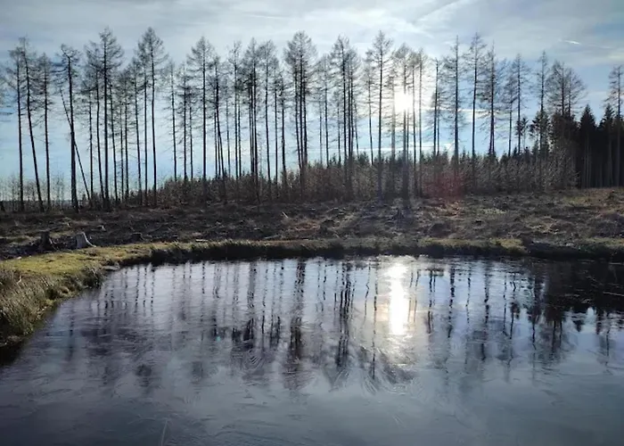 In For 6 Personen Ferienhaus Schierke