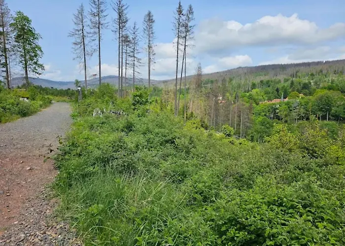 Ferienhaus In For 6 Personen Schierke